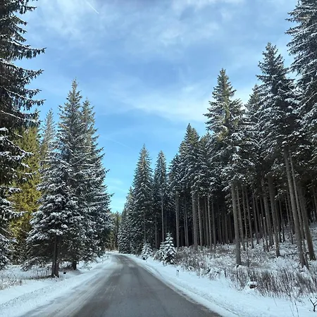 Apartma Arja Apartament