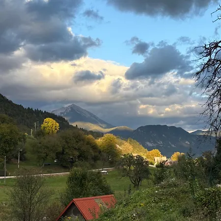Apartma Arja * Spodnje Gorje