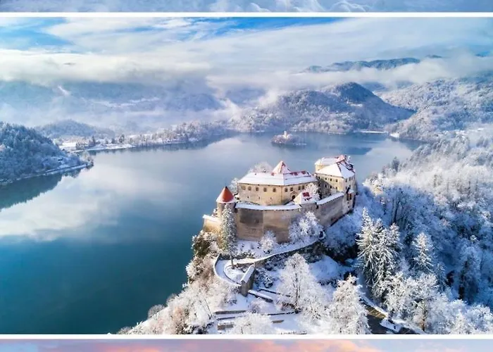 Apartma Arja * Spodnje Gorje